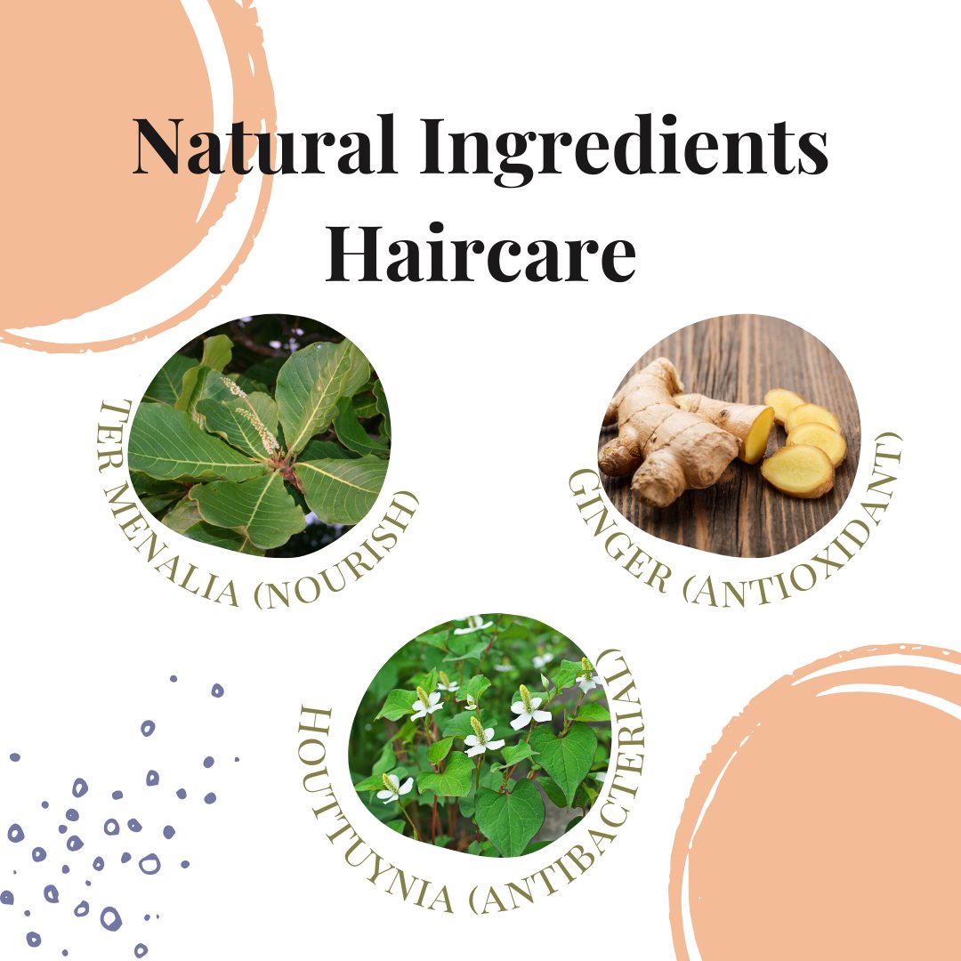 Thai herbs are treasured for their healing properties