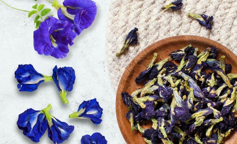 Butterfly Pea Flower