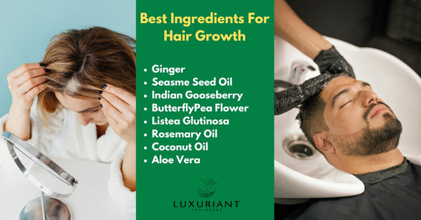 Best Ingredients for Hair Growth: Boost Your Hair’s Health Naturally