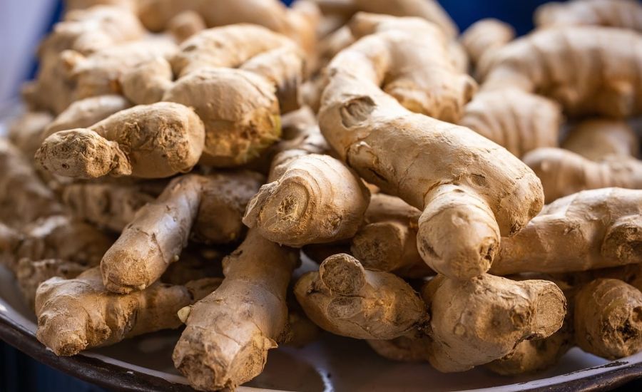 Ginger