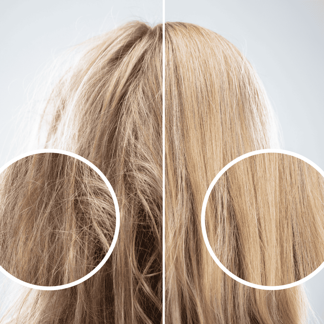 Shampoo and Conditioner Set