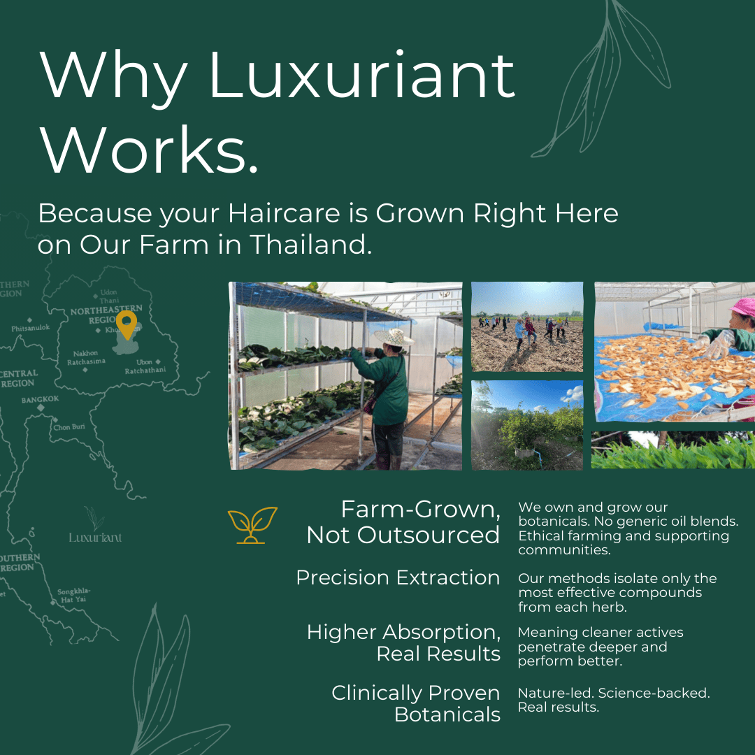 Shampoo and Conditioner Set