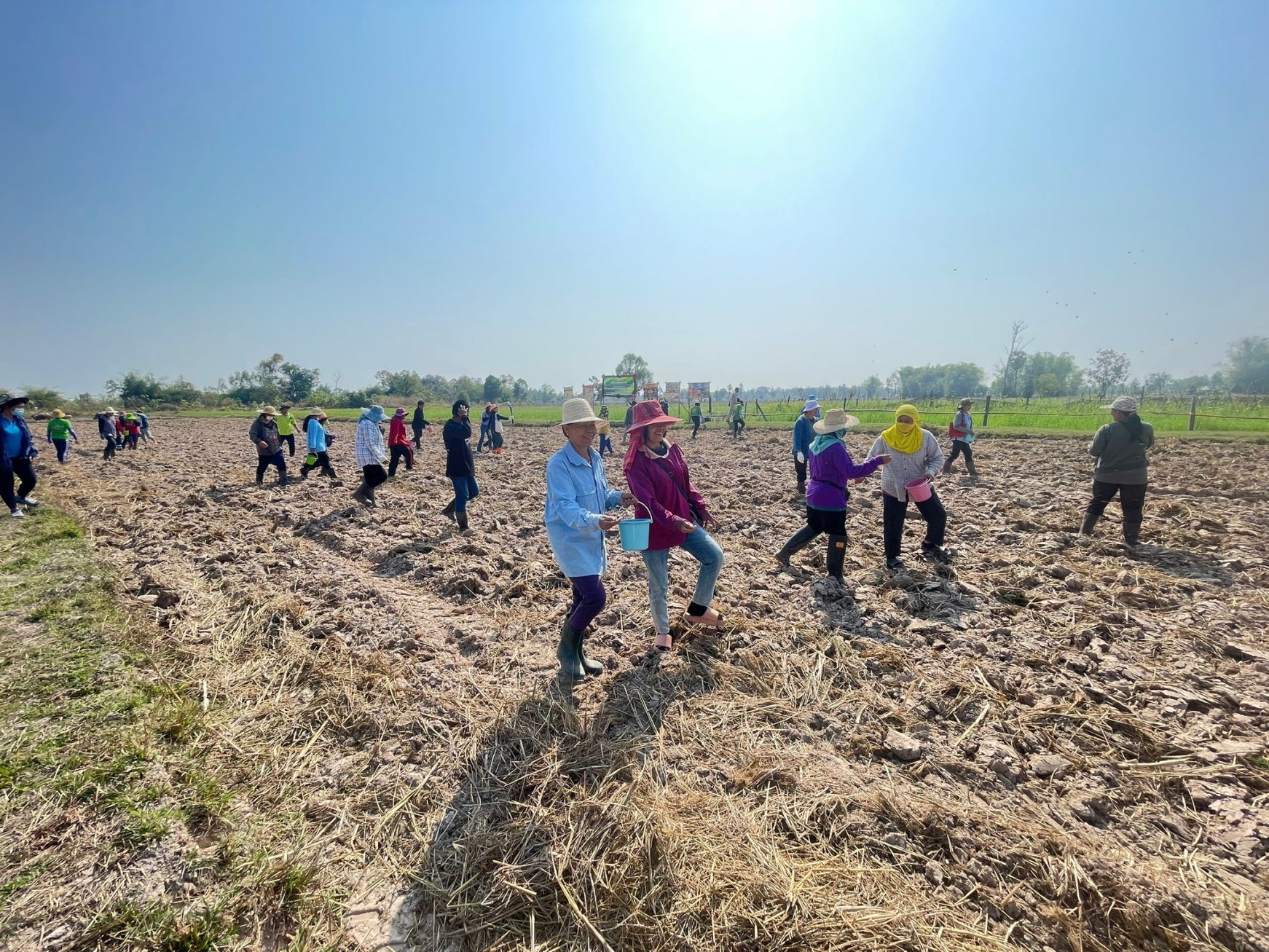 fallback text for an image